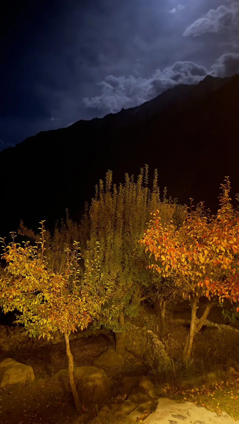 Autumn at night