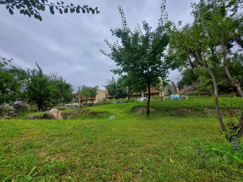 The orchard